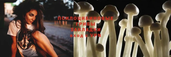 apvp Алексеевка