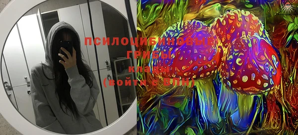 PSILOCYBIN Алзамай