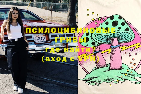 PSILOCYBIN Алзамай