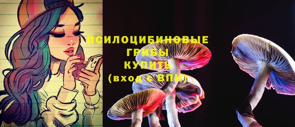 apvp Алексеевка