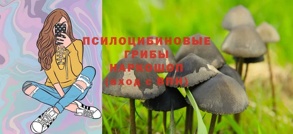спайс Алексин