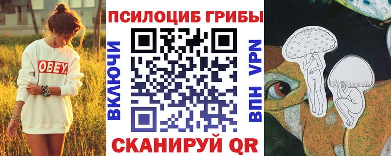 купить закладку  Игра  Галлюциногенные грибы Psilocybine cubensis 