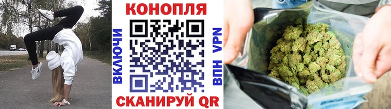 Бошки Шишки план  купить   Игра 